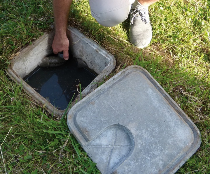 Fichier:Regard du bassin de phytoépuration.jpg