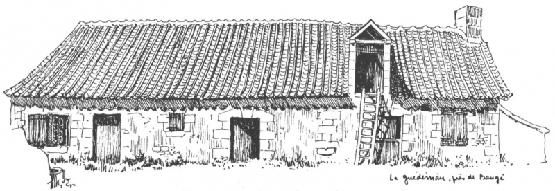 Fichier:Dessin toiture baugeoise.jpg