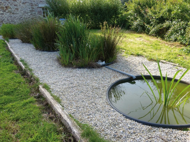 Fichier:Bassin phytoépuration 2.jpg