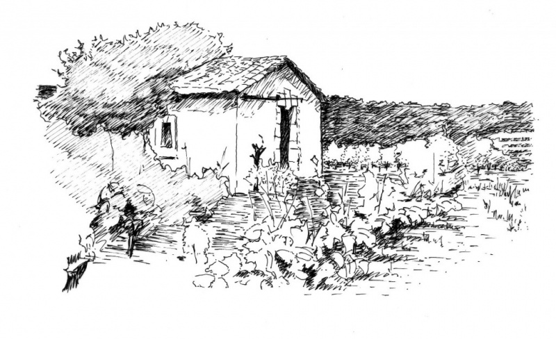 Fichier:Casot dessin.jpg